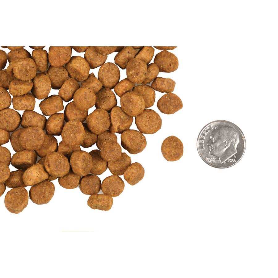 Fromm Heartland Gold Large Breed Puppy Dry Dog Food - Pet Supplies online store