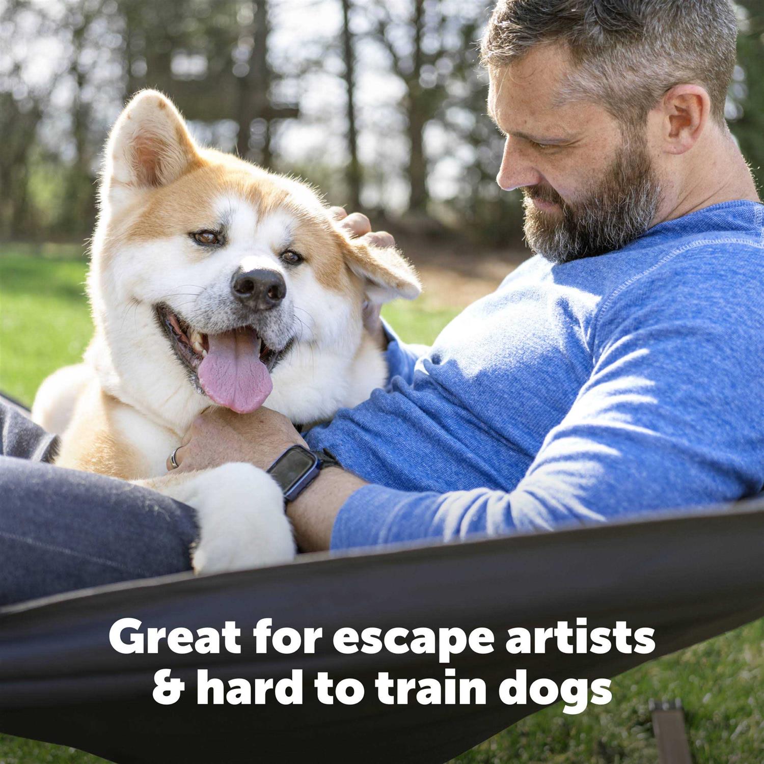 PetSafe Stubborn Dog Receiver Collar - Pet Supplies online store