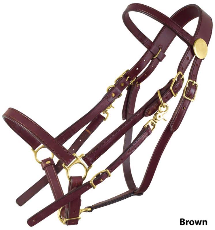 Tucker Standard Halter Bridle w/Brass Large Blk