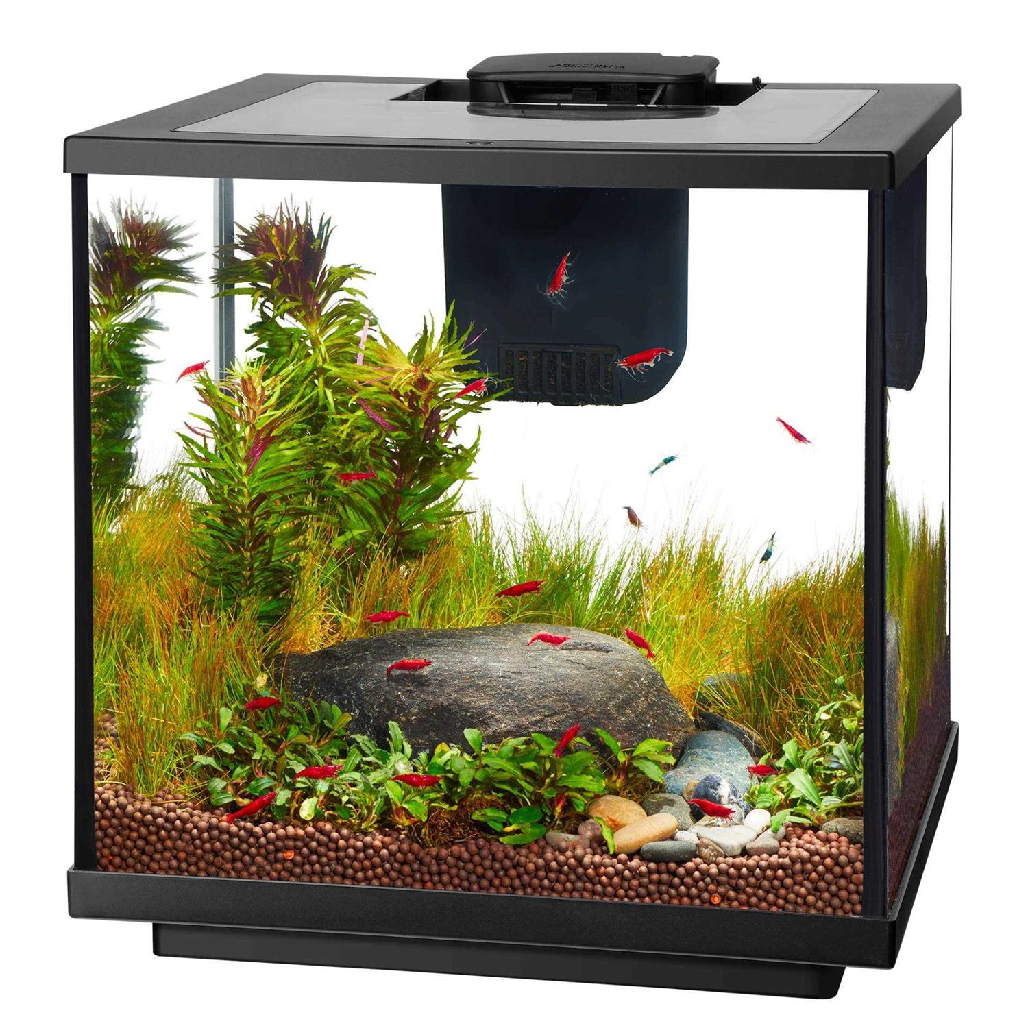 Aqueon 7.5 Gallon LED Shrimp Aquarium Kit - Pet Supplies online store