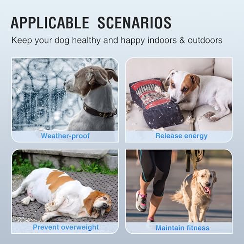 Dog Treadmill for Large/Medium Dogs, Adjustable Ramp Canine Running Slatmill Machine with Pedometer for Exercise & Healthy & Fit Pet Life