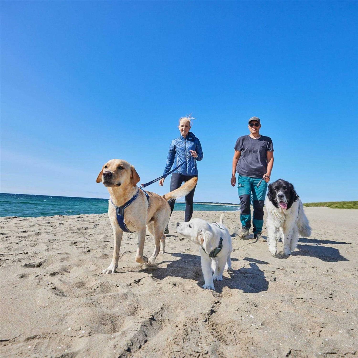 Non-Stop Dogwear Line Harness / Size - Pet Supplies online store