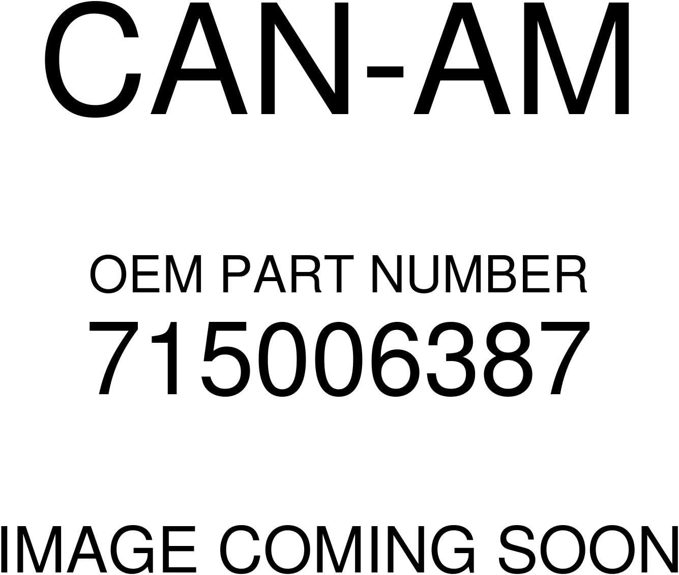 Can-Am Polycarbonate Rear Window 715006387 New Oem
