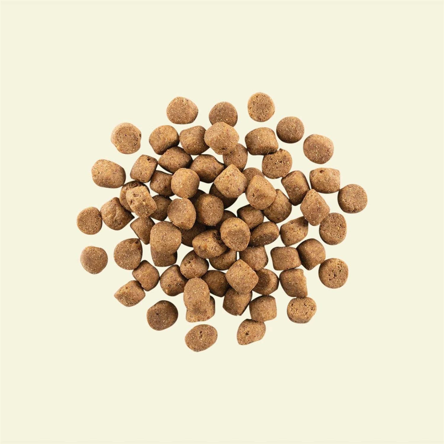 Now Fresh Grain-Free Puppy Recipe Dry Dog Food - Pet Supplies online store