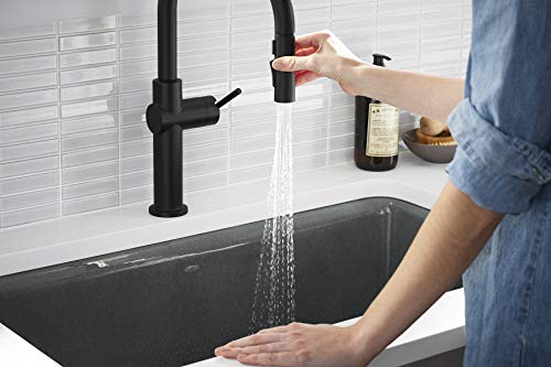 Kohler Crue Kitchen Sink Faucet