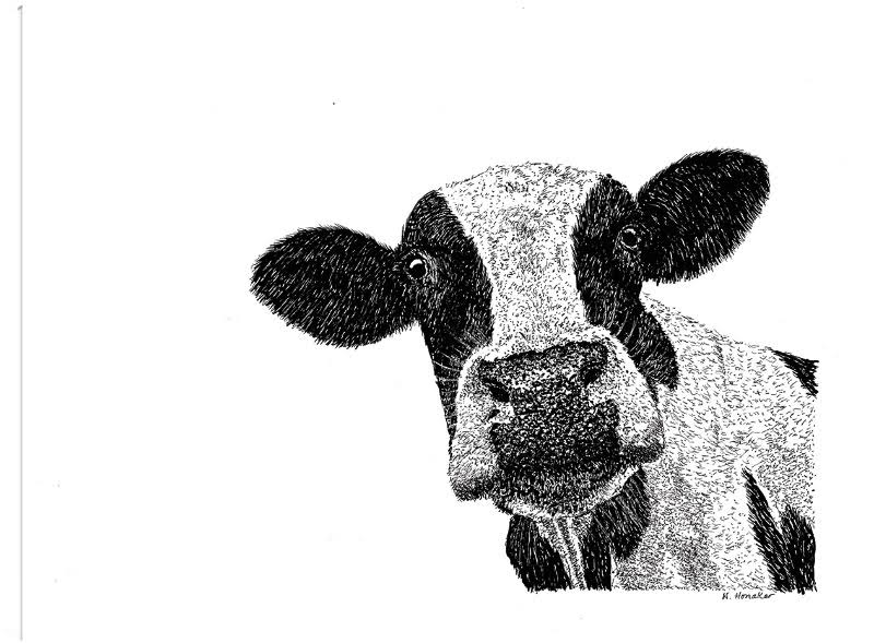 Cow Canvas Art by Let Your Art Soar 32x24 Fineartcanvas