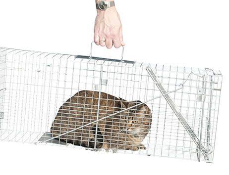 Havahart Feral Cat Rescue Kit