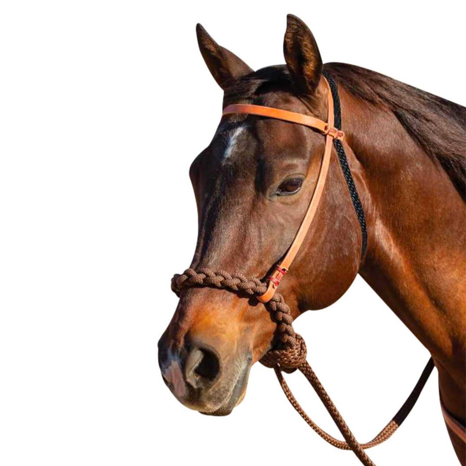 Loping Hackamore Professionals Choice - Sports Supplies Online Store
