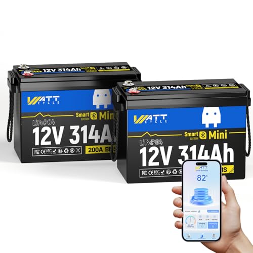12V 314Ah Mini LiFePO4 Lithium Battery with Bluetooth 5.0, 200A BMS, 4.01kWh Energy, Upgraded Aluminum Cooling Fins & Braided Copper Wires, for RV