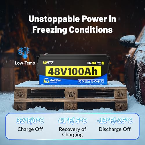 12V 314Ah Mini LiFePO4 Lithium Battery with Bluetooth 5.0, 200A BMS, 4.01kWh Energy, Upgraded Aluminum Cooling Fins & Braided Copper Wires, for RV