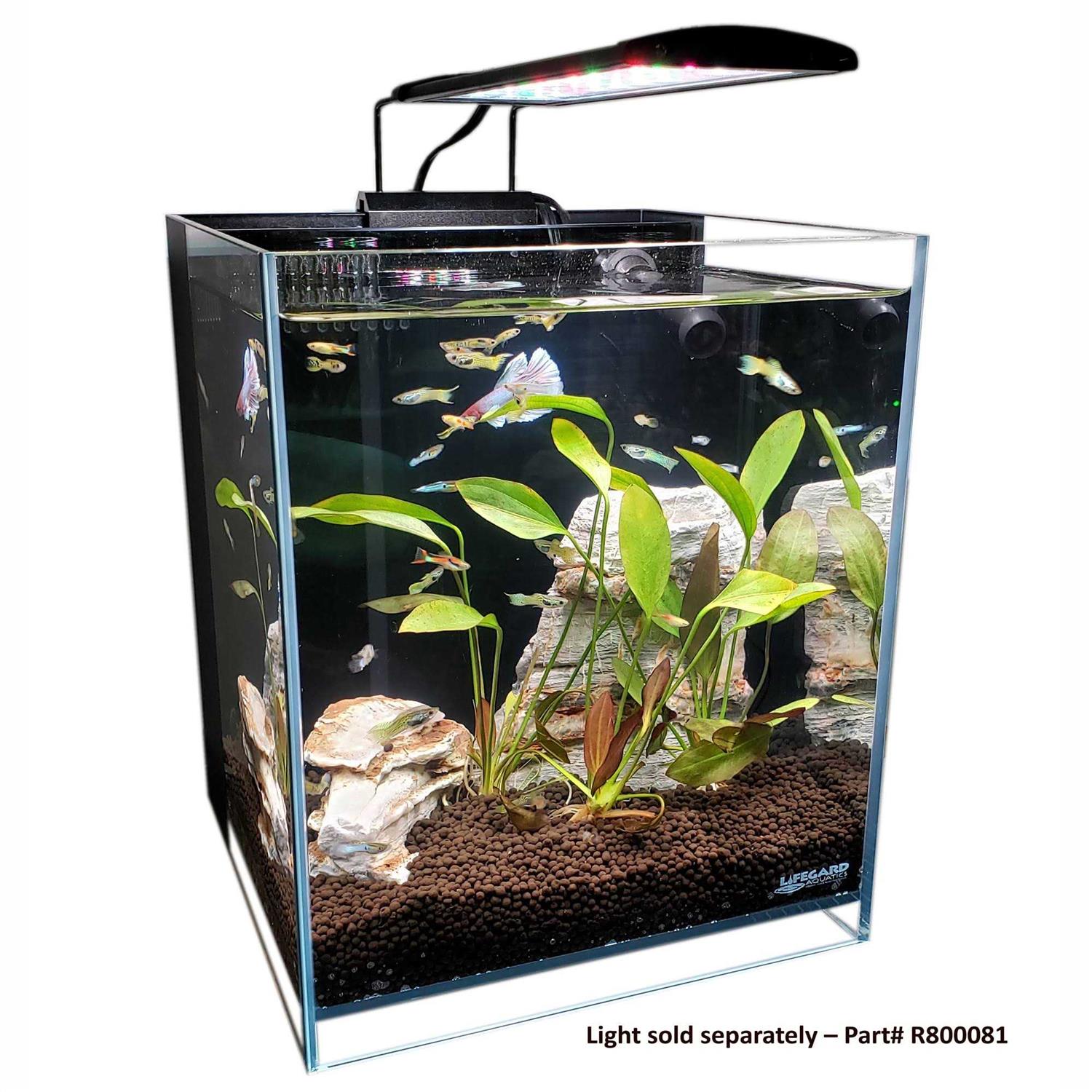 Lifegard Aquatics Ultra Low Iron Glass Aquarium with Filter - Pet Supplies online store