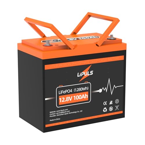12.8V 100Ah LiFePO4 Battery Lithium Deep Cycle Battery, Group 24 Size Built-in 100A BMS, Max.1280Wh Lithium Iron Phosphate Battery, 10-Year Lifespan