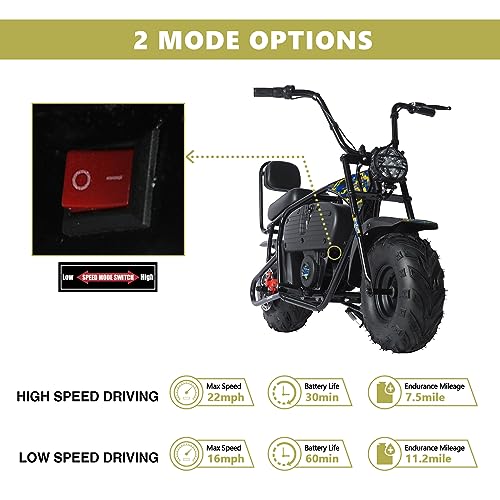 Oryxearth 36V Battery Powered Mini Electric Bike, Mini Dirt Bike for Kids, Electric Motorcycle for Kids Ages Over 13