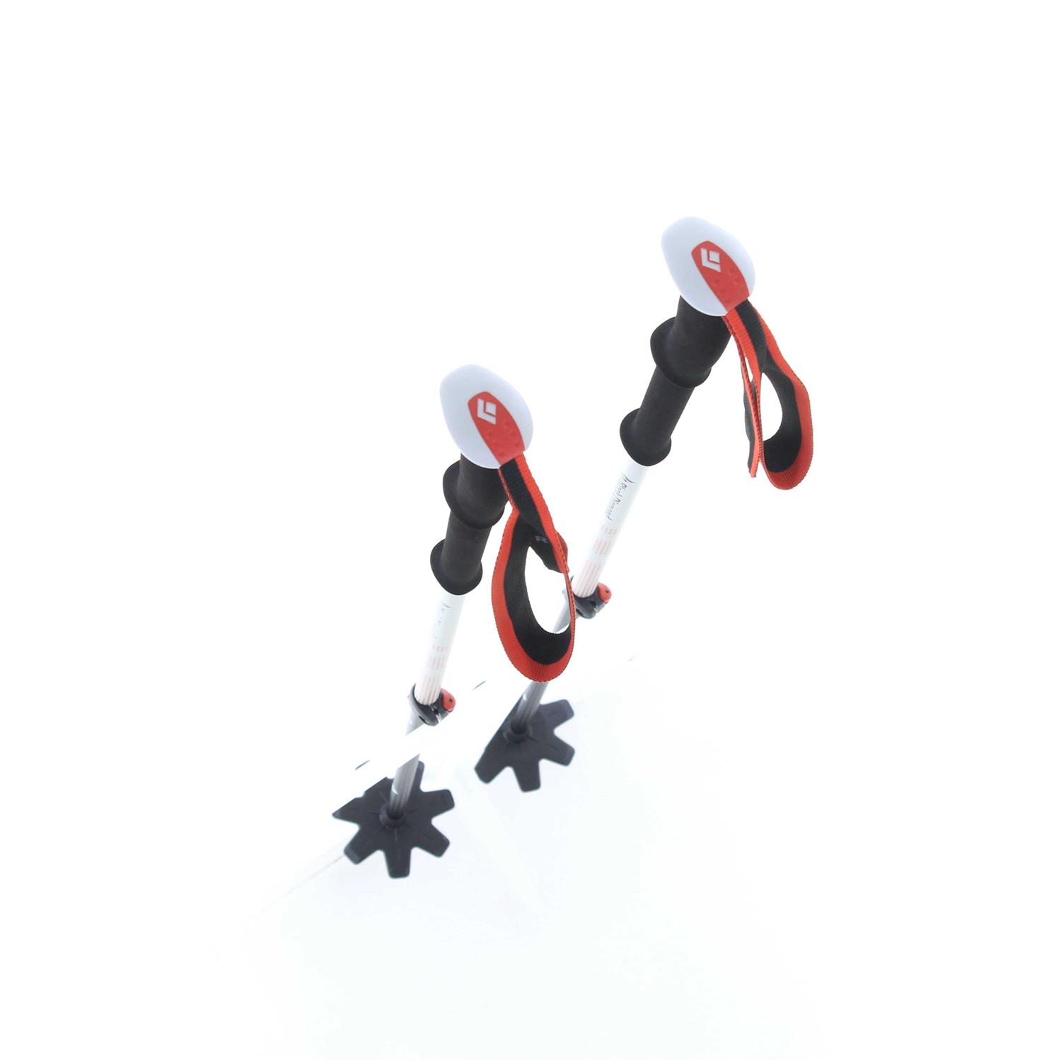 Black Diamond Expedition 2 Ski Poles - Sports Supplies Online Store