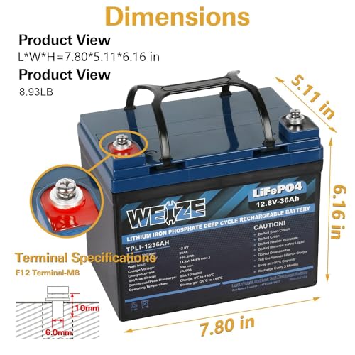 Weize 12V 100Ah TM Bluetooth LiFePO4 Lithium Battery, Built-in 120A BMS
