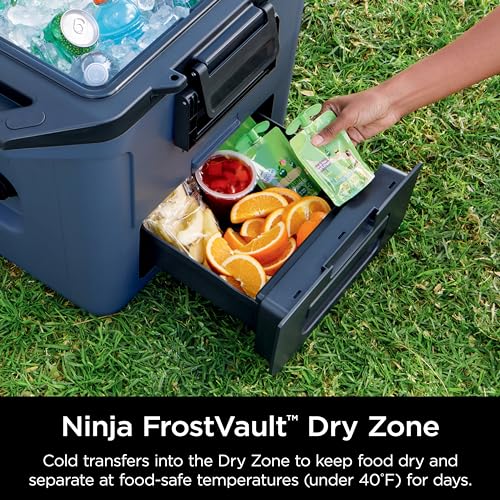 Ninja FB151GY FrostVault 50qt Hard Cooler with Dry Zone, Integrated Fridge-Temp Dry Storage Drawer, Premium Heavy-Duty Insulated Cooler