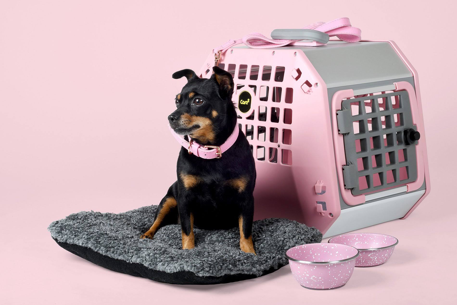 4x4 North America MIM Care2 Pet Carrier, Large / Grey