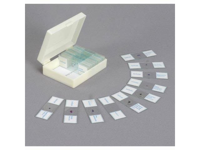 Amscope 40X-640X Metal Body Glass Lens Student Microscope with ABS Case u0026 25