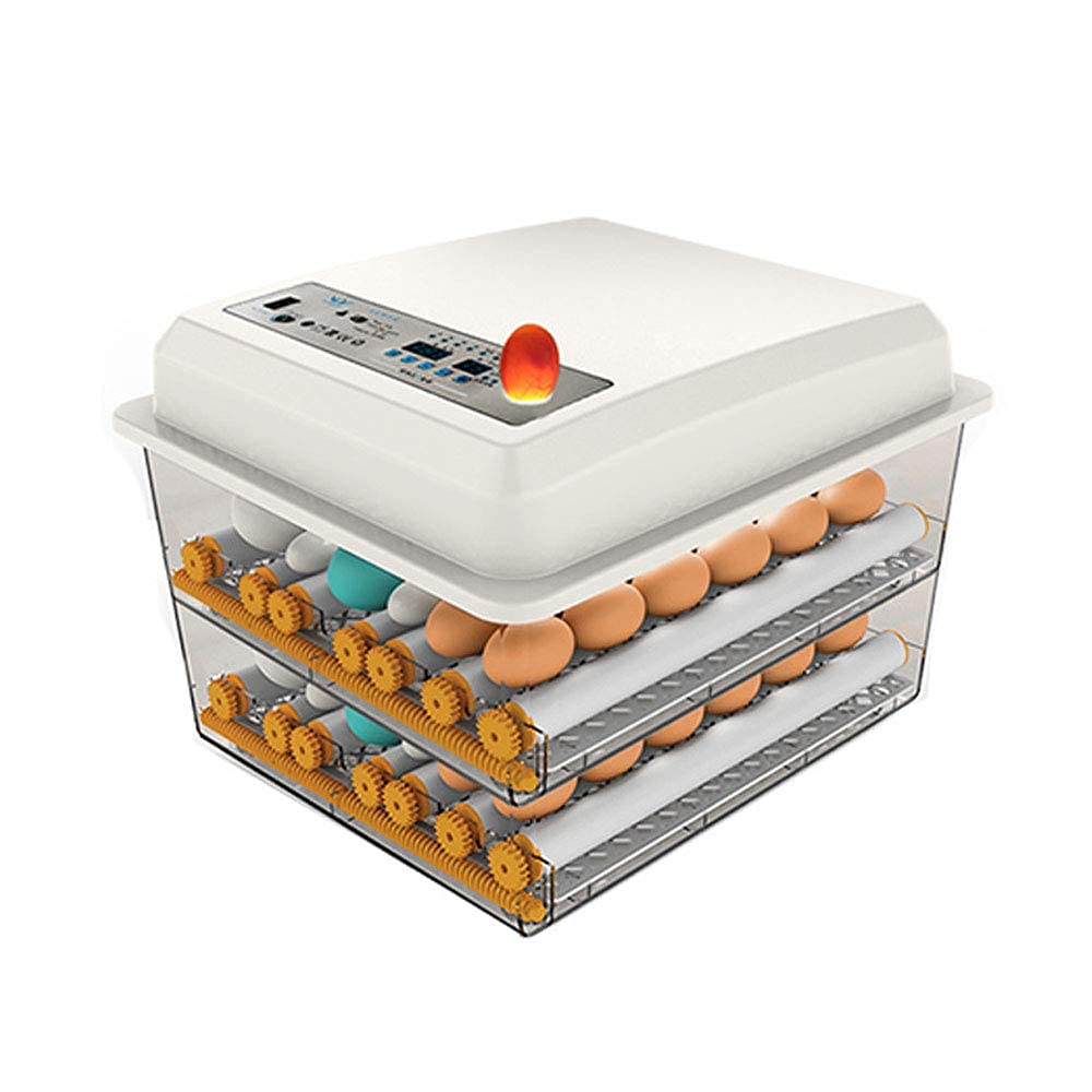 JAEDO 170 Egg Incubator Poultry Hatcher with Fully Automatic Egg Turning and Temperature Humidity Control for Chickens Ducks Goose Birds