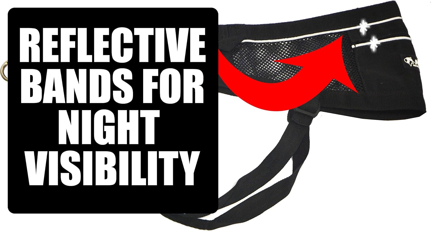 Neewa Canicross & Skijoring Belt to Run or Walk with Your Dog with Dog Running Leash Hands Free 2 Dogs or One