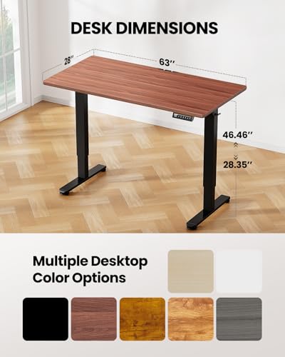 ErGear Height Adjustable Electric Standing Desk, 48 x 24 Inches Sit Stand up Desk, Memory Computer Home Office Desk with Two-Piece Desktop (Walnut)