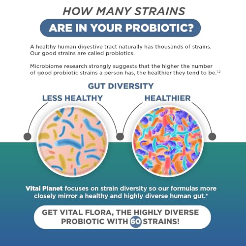Vital Planet - Vital Flora Ultra Daily Probiotic 60 Billion CFU, Diverse Strains, Organic Prebiotics, Immune Support, Bloating Relief