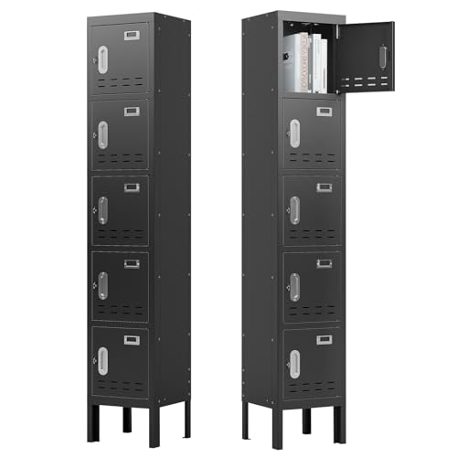 Metal Locker with 5 Doors,Lockers for Employees,66'' Steel Storage Locker for School,Gym, Office, Office,Garage