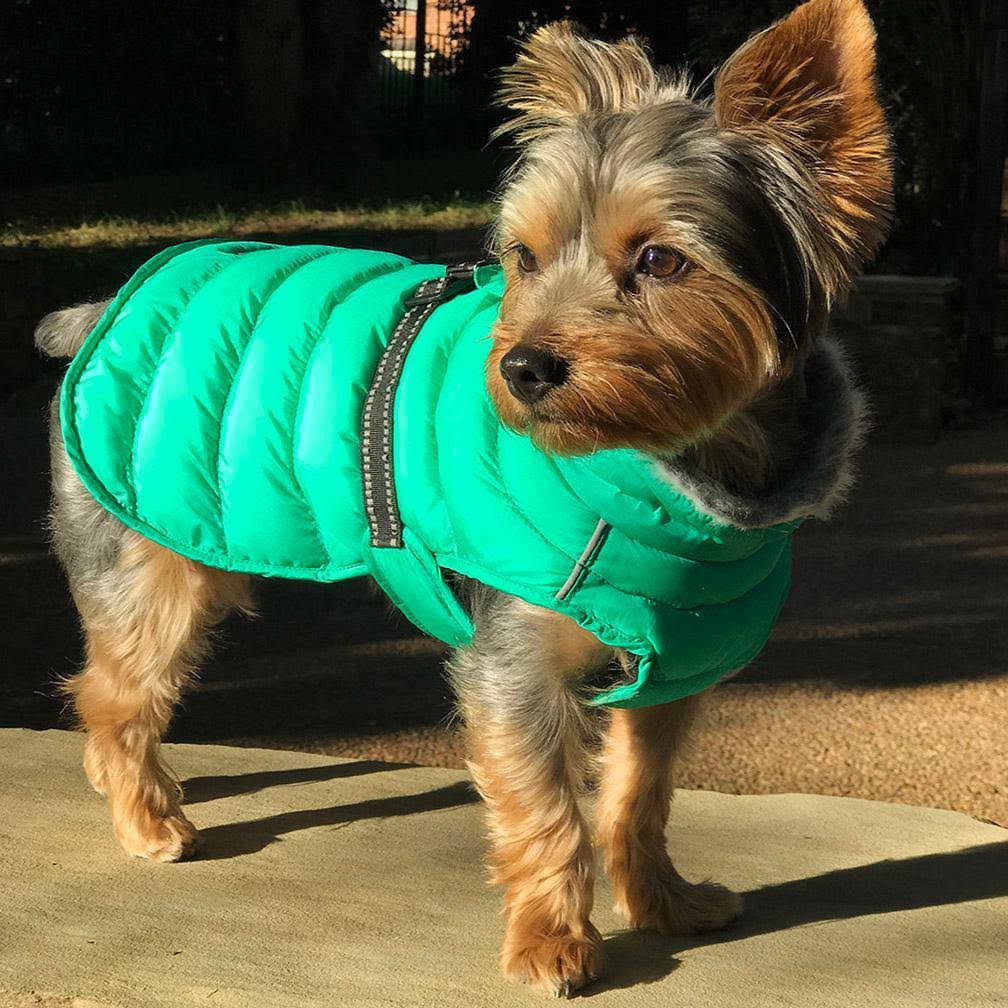 Alpine Extreme Weather Puffer Coat - Arcadia 4X-Large
