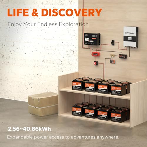 LiTime 12V 50Ah Lithium LiFePO4 Battery Built in BMS, 10 Years Lifetime 4000+ Cycles Output Power 640W, Perfect for Boat Marine Trolling motor Camping