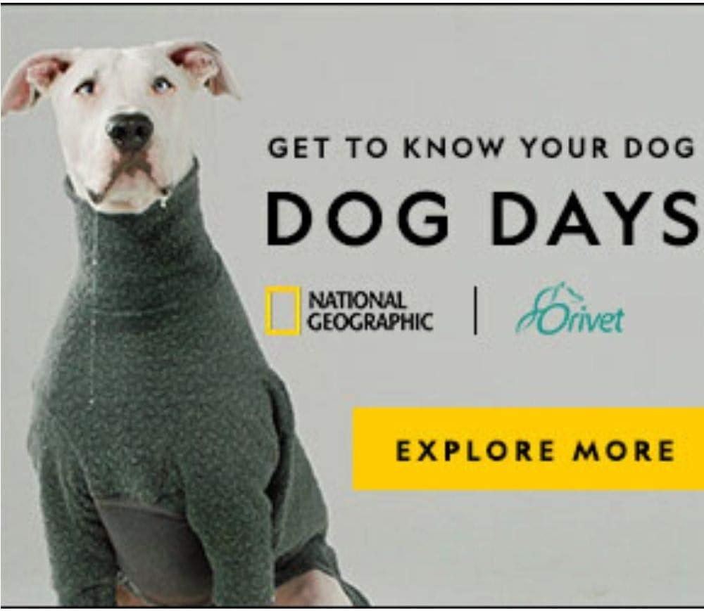 ORIVET Dog DNA Test | Comprehensive Dog Breed Test Kit, Genetic Testing, Health Risks Screen and Life Plan GenoPet 5.0 for Canines