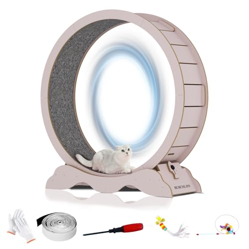 Cat Exercise Wheel 45 Inch Cat Treadmill for Indoor Cats, Running Wheel with Detachable Carpeted Runway