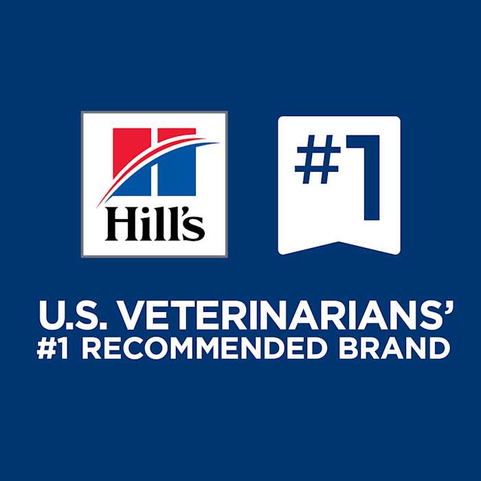 Hill's Prescription Diet ONC Care Wet Dog Food - Pet Supplies online store