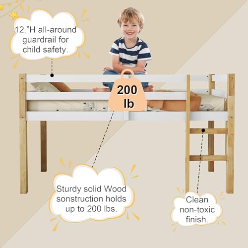 Low Loft Bed Twin Size, Kids Solid Wood Modern Loft Bed Frame with Ladder and Safety Guardrail for Girls Boys, Noise-Free,Non-Toxic Finishes