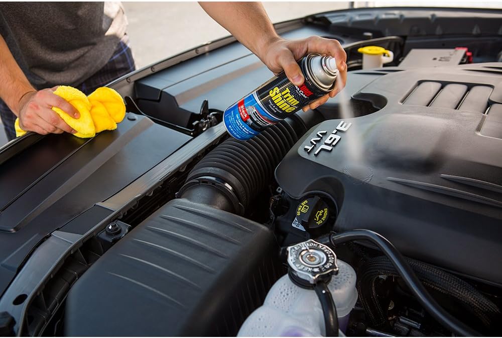 Stoner car Care 91034-12PK 12-Ounce Trim Shine Protectant Aerosol Restores Dull or Faded Interior and Exterior Plastic Renew Bumpers, Running Boards