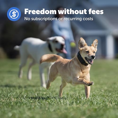 PetSafe Guardian GPS Dog Fence – No Subscription – Create Your Own Wireless Fence for Dogs – for Yards 3/4 Acres or Larger – World's Safest GPS Dog