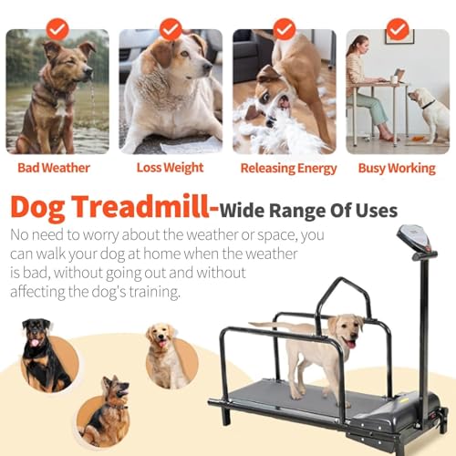 Dog Treadmill Indoor Pet Exercise Machine for Small, Medium & Large Dogs up to 176 lbs - Home Fitness with LCD Display & Adjustable Speed