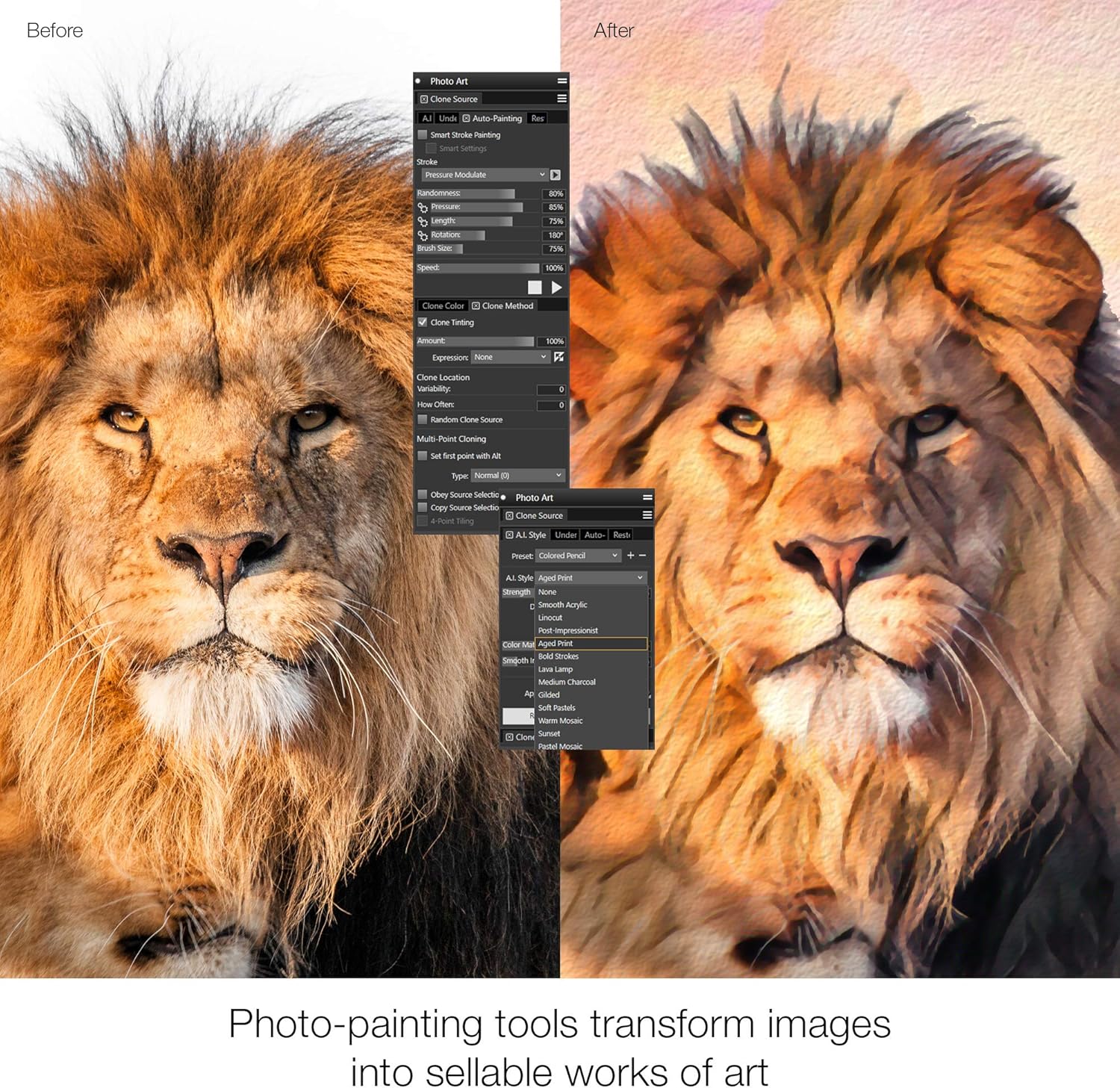 Corel Painter 2021 Upgrade | Digital Painting Software | Illustration, Concept, Photo, and Fine Art [PC/Mac Keycard] [Old Version]
