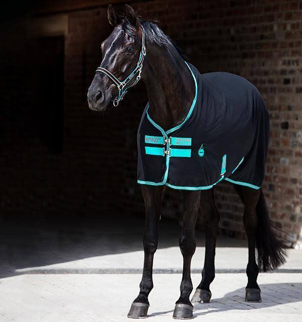 Amigo Stable Sheet - Excalibur/Orange