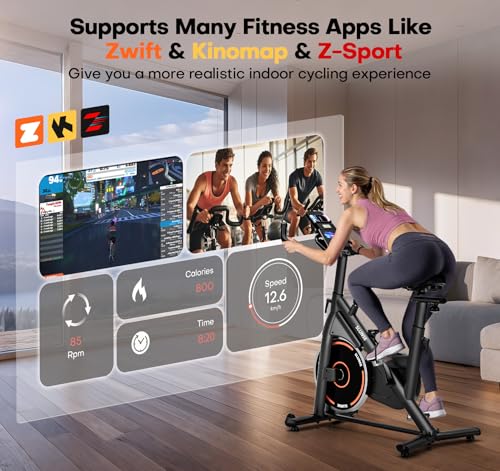 Exercise Bike, Adjustable Magnetic Resistance Stationary Bikes for Home with App Compatible