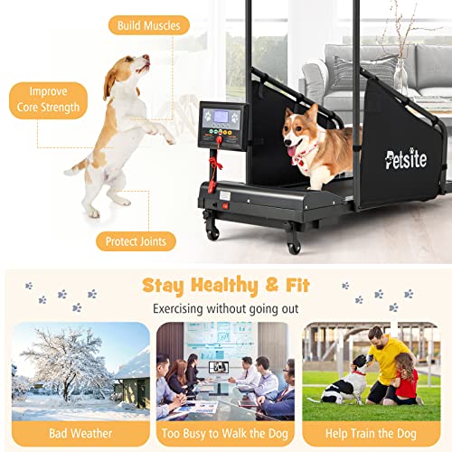 PETSITE Dog Treadmill, Pet Dog Running Machine for Small & Medium-Sized Dogs, Pet Fitness Treadmill with LCD Display Screen, 220 LBS