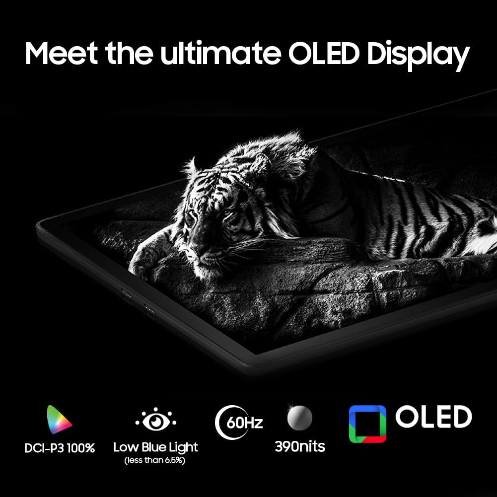 OLED 13.3" 1080P Portable Wireless Monitor FHD DCI-P3 100%, 0.2ms, 700000:1, Touchscreen, StereoQuad Speakers, USB Type-C