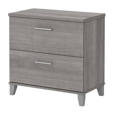 Masala 2-Drawer Lateral Filing Cabinet Red Barrel Studio Color: Platinum Gray