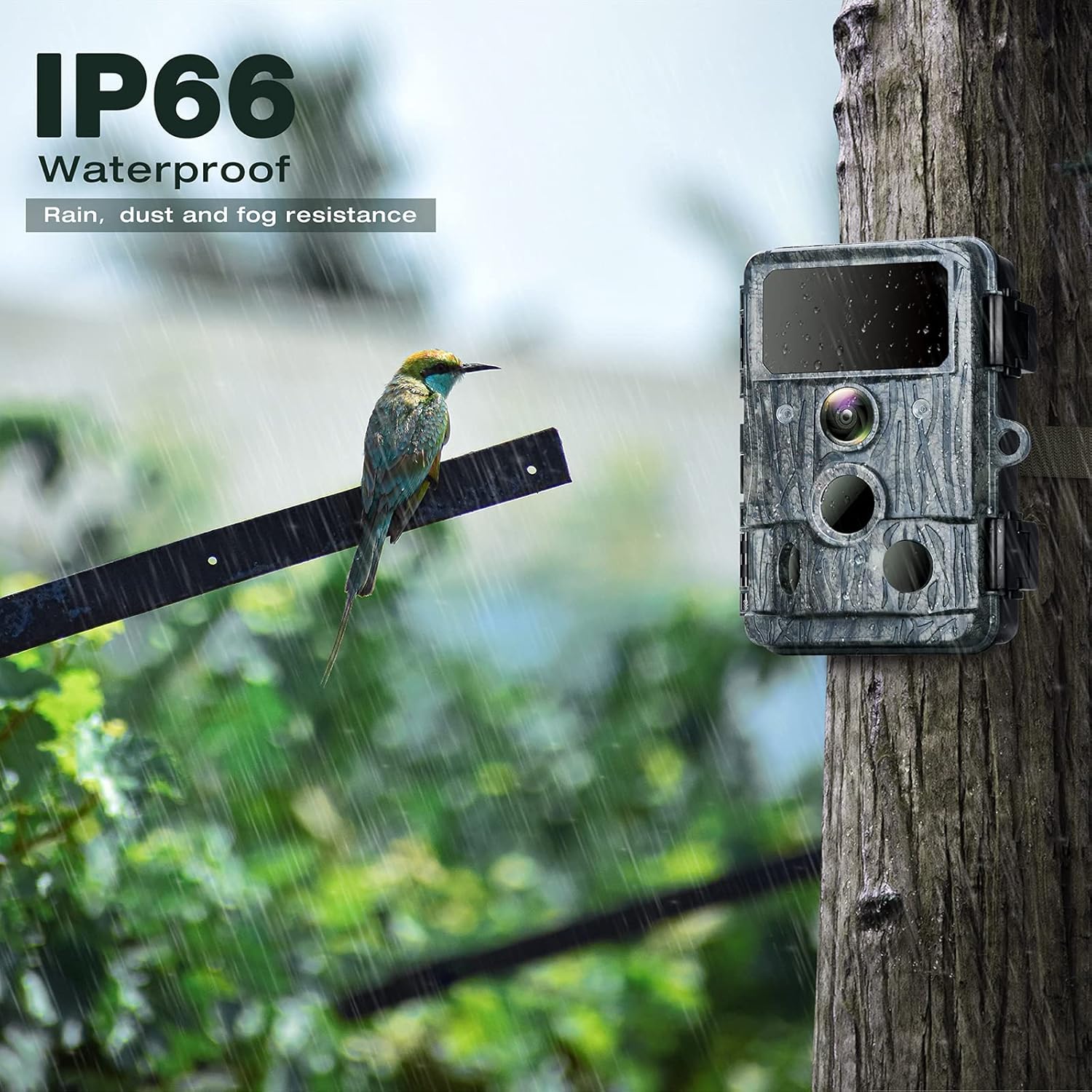 Trail Camera 4K WiFi 30MP