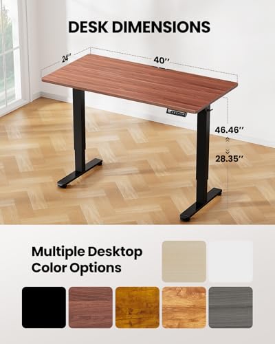 ErGear Height Adjustable Electric Standing Desk, 48 x 24 Inches Sit Stand up Desk, Memory Computer Home Office Desk with Two-Piece Desktop (Walnut)