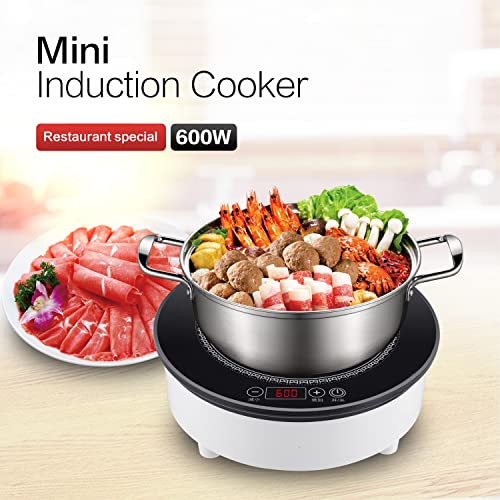 Commercial Induction Hot Plate