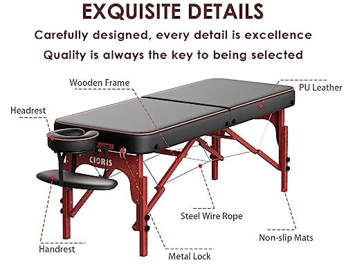 CLORIS 84" Professional Massage Table Portable 2 Folding Lightweight Facial Solon Spa Tattoo Bed Height Adjustable with Carrying Bag & Aluminium Leg