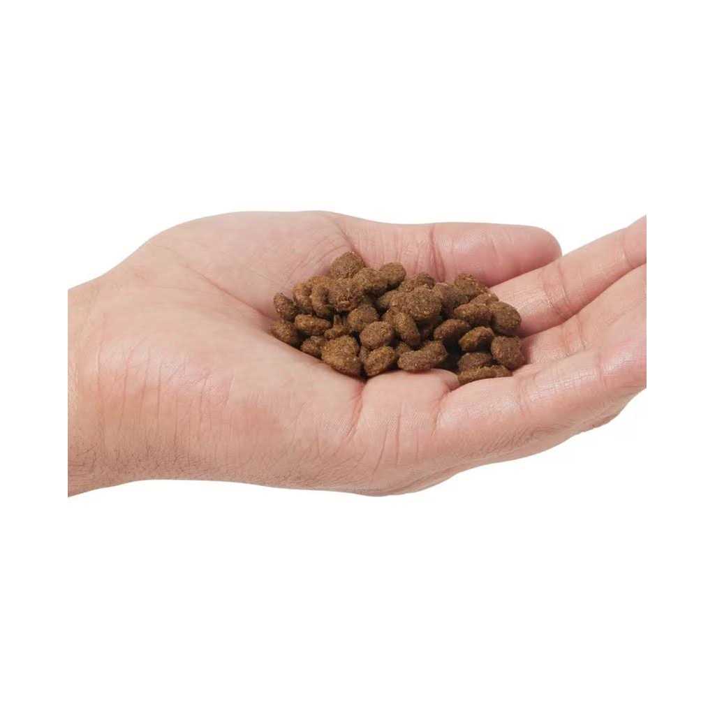 Farmina N;D Prime Adult Boar ; Apple Grain Free Dry Cat Food - Pet Supplies online store