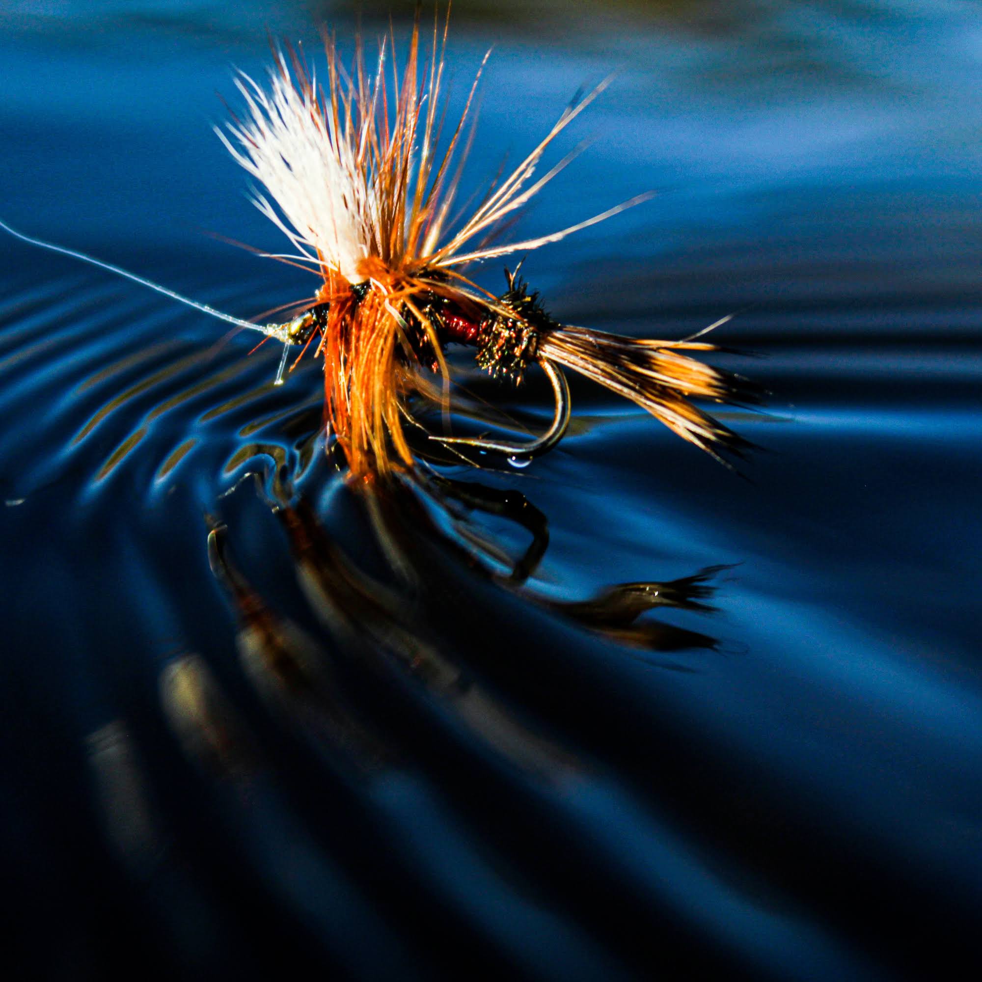 The Ultimate Collection | 200 Premium Fly Assortment