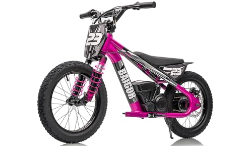 wanan Electric Dirt Bike for Kids 6-12 with Shock-Absorbing Front Fork, 250W Electric Motorcycle Up to 15.5MPH, 24V Detachable Battery, 16''