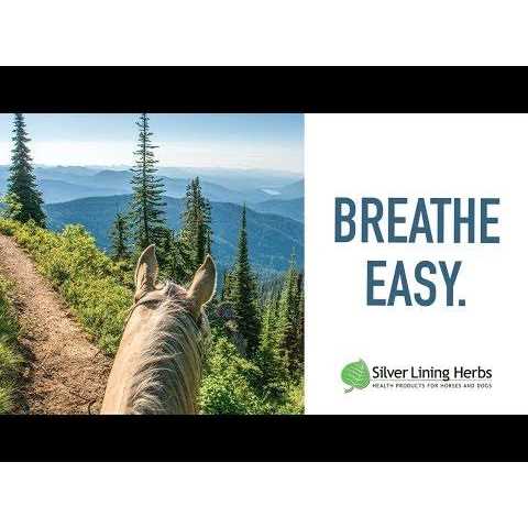 Silver Lining Herbs Respiratory Support for Horses - Sports Supplies Online Store